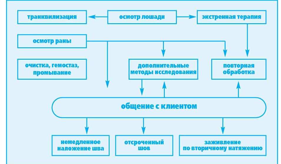 рана у лошади