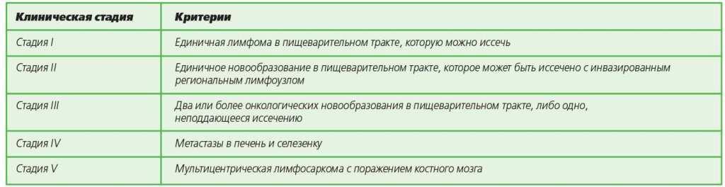 Образования в желудке у собак Образования в желудке у собак thumbnail