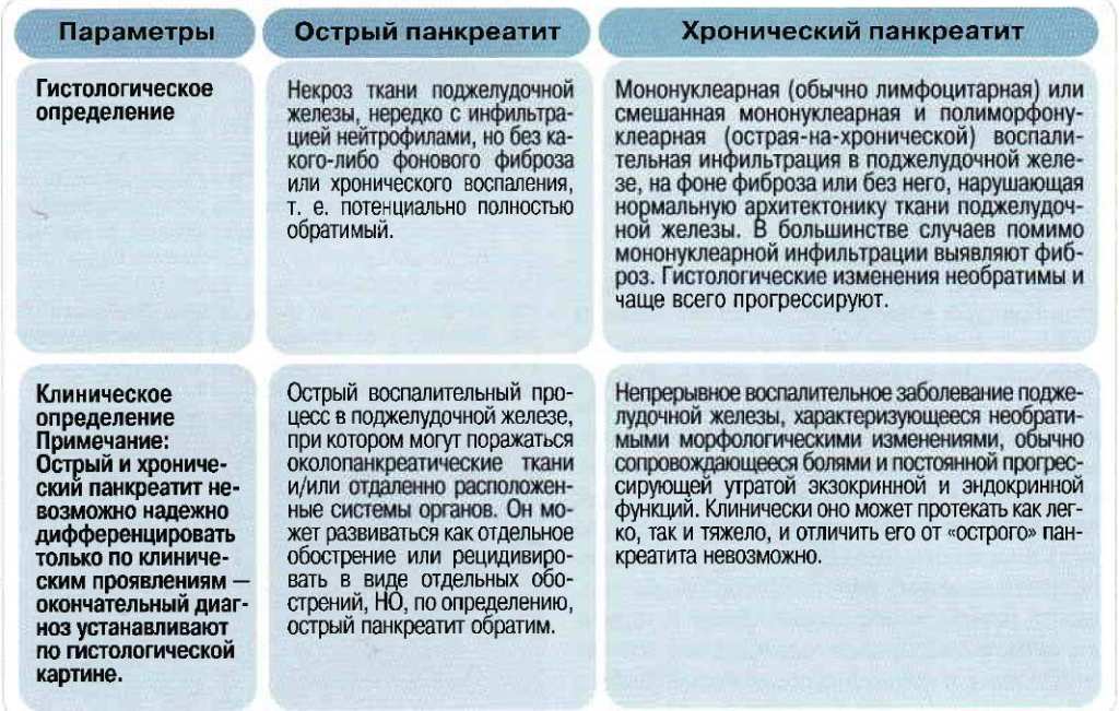 Поджелудочная железа анатомия собаки