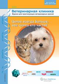Ветеринарная клиника №7-8 2008