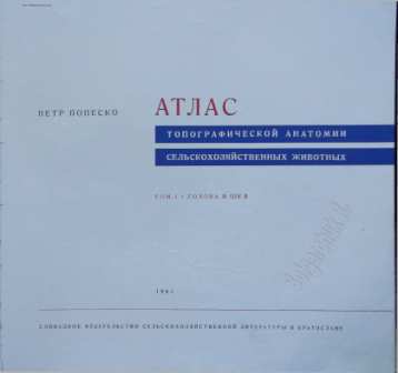 Атлас топографической анатомии сельскохозяйственных животных